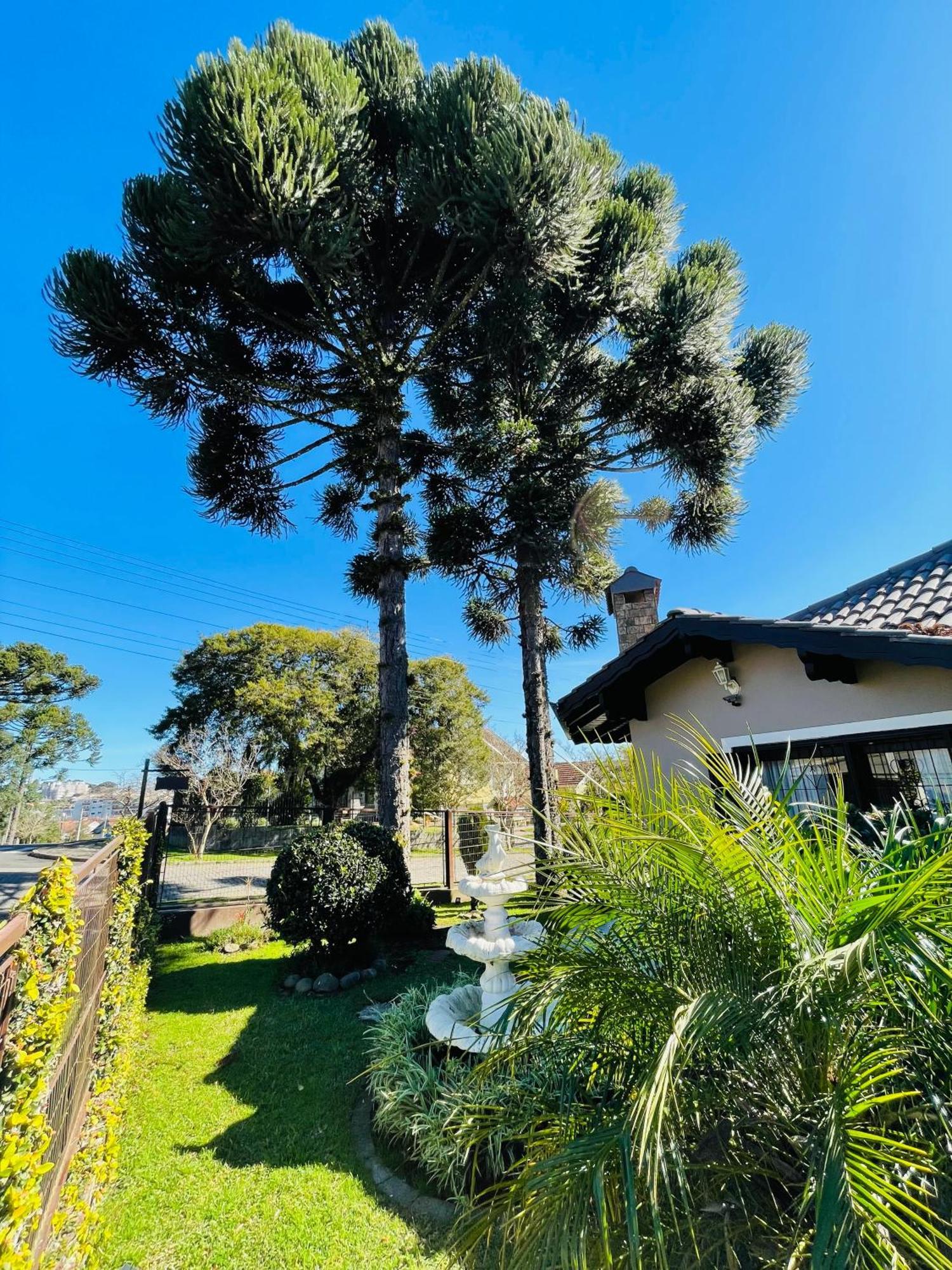 Residencial Pine House Hotell Canela Exteriör bild